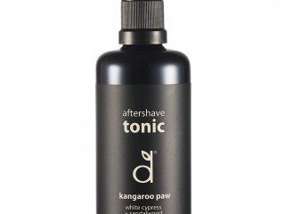 Dindi Naturals Aftershave Tonic